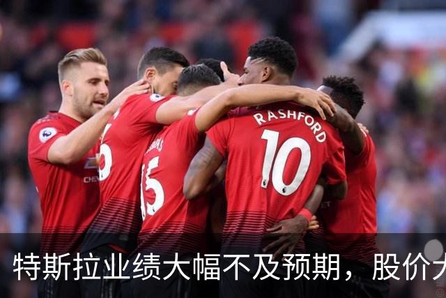 特斯拉业绩大幅不及预期，股价大跌
